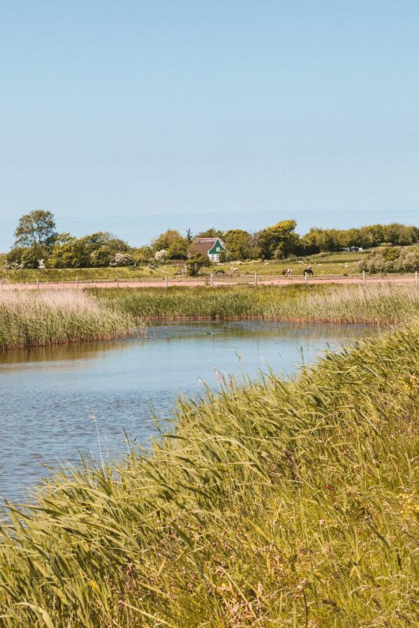 Bed and Breakfast Bed & Bakkie Het Lamsoor Texel 't Horntje Zewnętrze zdjęcie
